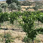 Zeytinycesme L Tiny & Farm L בית נופש Çeşme