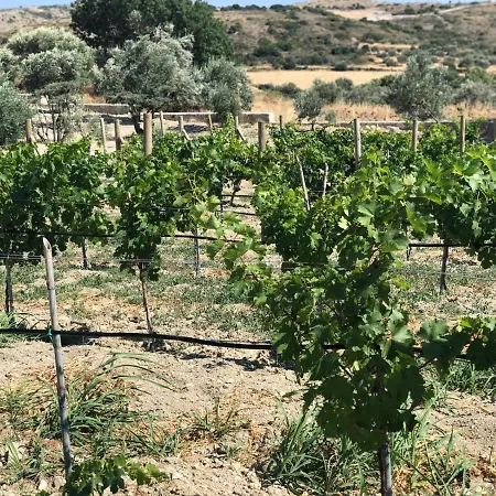 Zeytinycesme L Tiny & Farm L Ferienhaus Çeşme