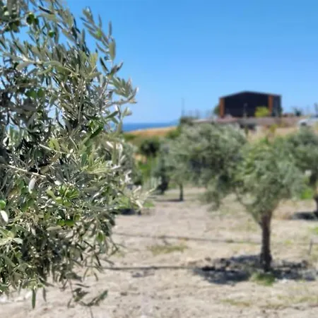 Holiday home Zeytinycesme L Tiny & Farm L *